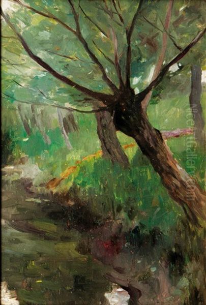 Willows By The Creek Oil Painting by Thomas Herbst