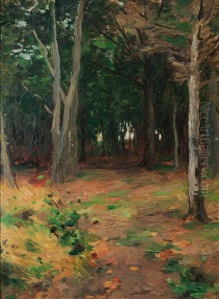 A Clearing In The Wood Oil Painting by Thomas Herbst