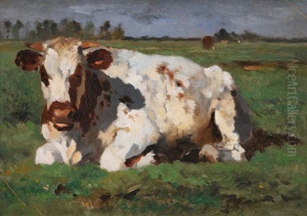 Lying White Cow Oil Painting by Thomas Herbst