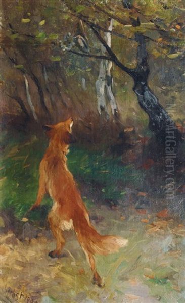 Fox Watching A Bird Oil Painting by Thomas Herbst