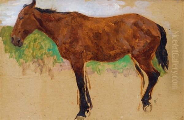 Study Of A Horse Oil Painting by Thomas Herbst