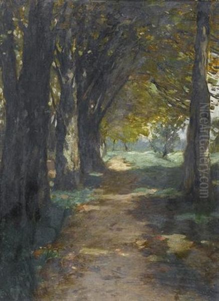 Baumgesaumter Weg Im Sommer Oil Painting by Thomas Herbst