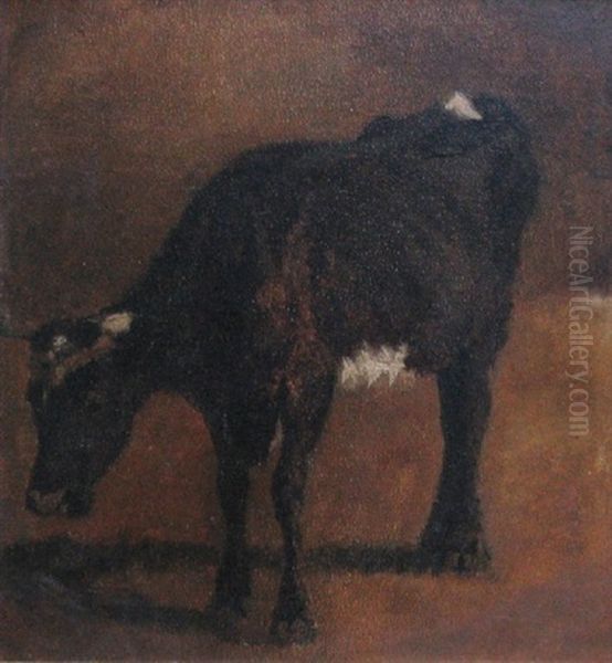 Brunbroget Ko (study) Oil Painting by Thomas Herbst