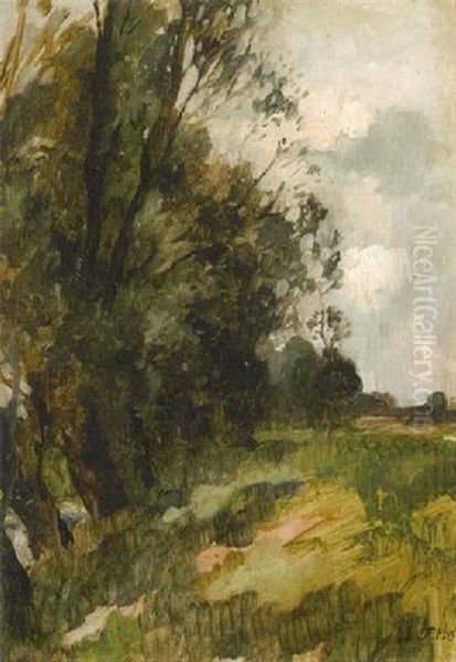 Landschaft Mit Weidenbaumen Am Bach Oil Painting by Thomas Herbst