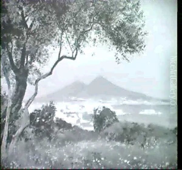 Blick Von Positano Auf Neapel Oil Painting by Heinrich Hermanns