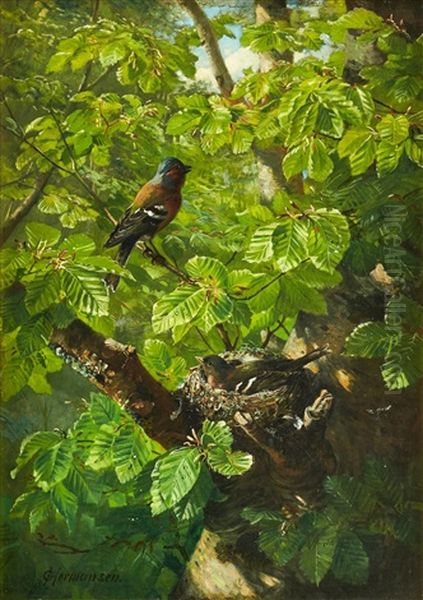 Chaffinches With Nest In A Beech Tree by Olaf August Hermansen