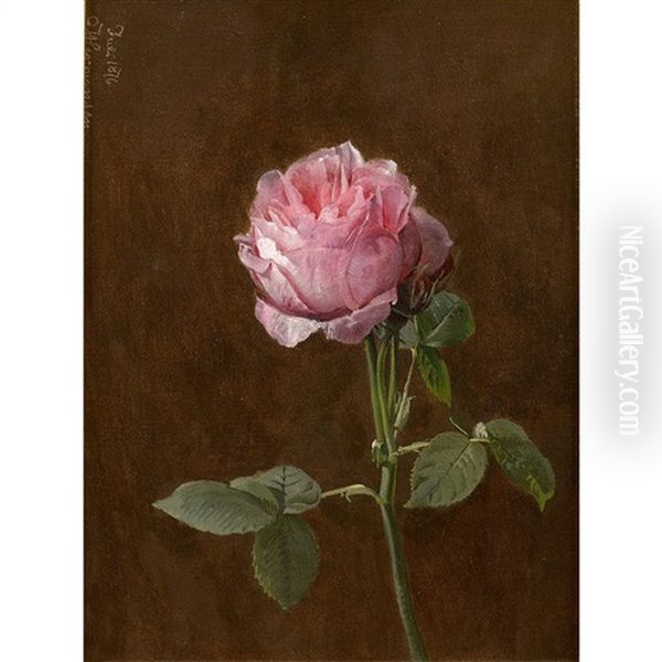 Rose Oil Painting by Olaf August Hermansen