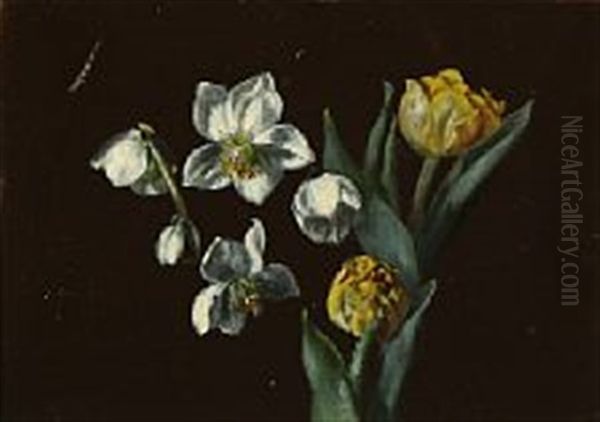 Flowering Petunia And White Anemones And Yellow Tulips Oil Painting by Olaf August Hermansen