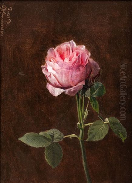 Rose Oil Painting by Olaf August Hermansen