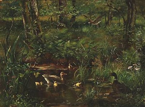 Forest Lake With Ducks Oil Painting by Olaf August Hermansen