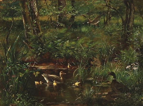 Forest Lake With Ducks Oil Painting by Olaf August Hermansen