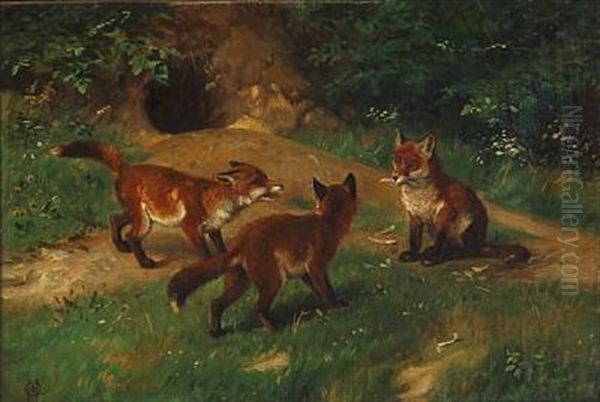 Three Fox Cubs Playing In Forest Oil Painting by Olaf August Hermansen