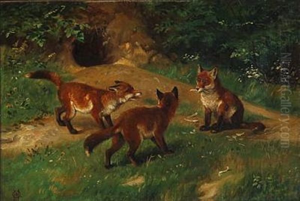 Three Fox Cubs Playing In Forest Oil Painting by Olaf August Hermansen