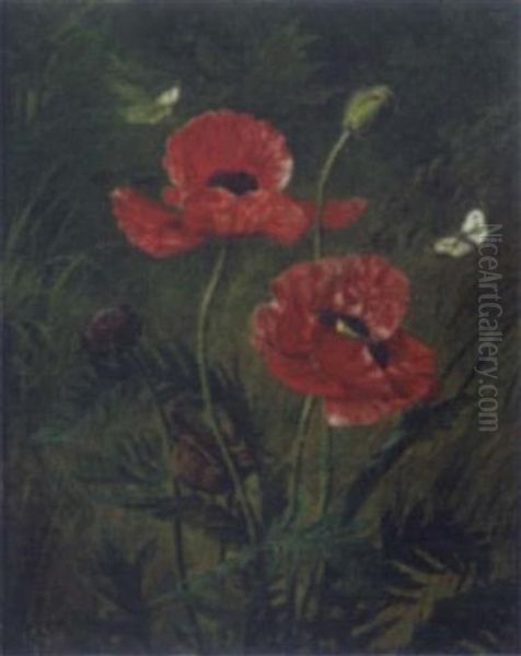 Still Life Of Poppies Oil Painting by Olaf August Hermansen