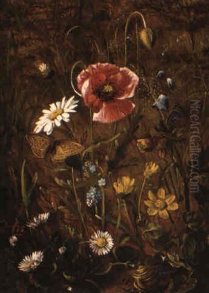 Study Of A Poppy In The Wild Oil Painting by Olaf August Hermansen