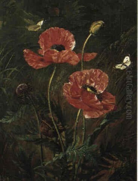 Vallmoblomster Oil Painting by Olaf August Hermansen