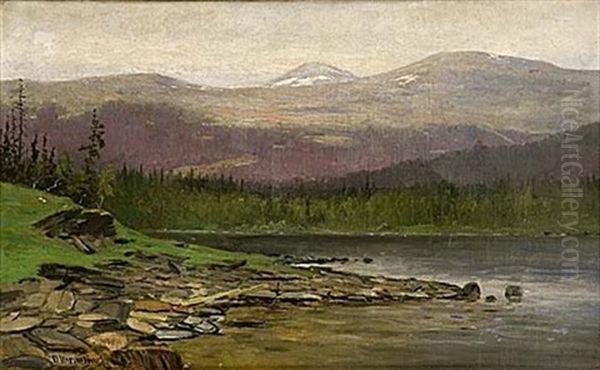 Norrlandskt Fjallandskap Oil Painting by Olof Hermelin