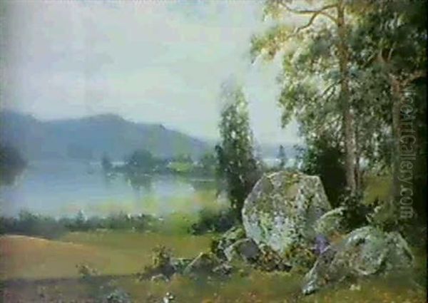 Landskapsmotiv Fran Sjon Emmaren, Ostergotland Oil Painting by Ferdinand Hernlund