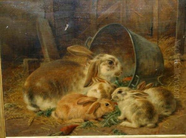 Oil On Canvas. Rabbit Scene Signed Lower Left18 X 21 Inches Oil Painting by Alfred R. Barber