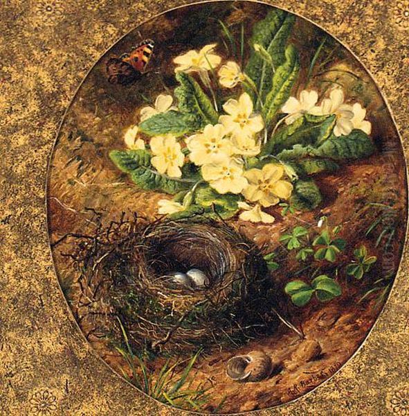 Primulas, A Snail's Shell, A Bird's Nest With Eggs And Abutterfly Oil Painting by Alfred R. Barber