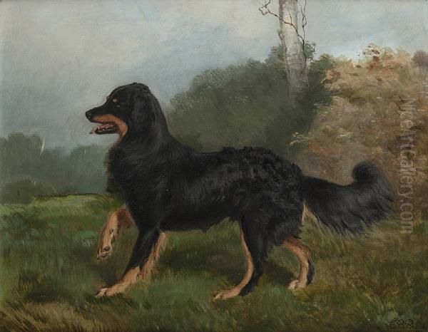 Sharp, Brother Of Fern - One Of Queen Victoria's Dogs Oil Painting by Charles Burton Barber