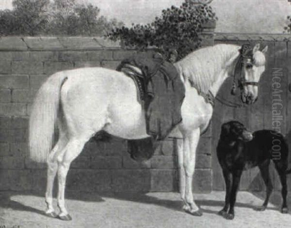 A Grey Horse And A Hunting Dog By A Garden Wall Oil Painting by Benjamin Herring Jr.