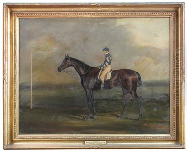 Lottery, A Dark Bay Racehorse, Winner Of The Doncaster Cup Oil Painting by Benjamin Herring Sr.