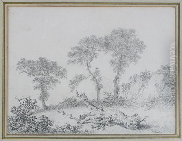 Three Trees In A Landscape Oil Painting by Joseph Ii Barber