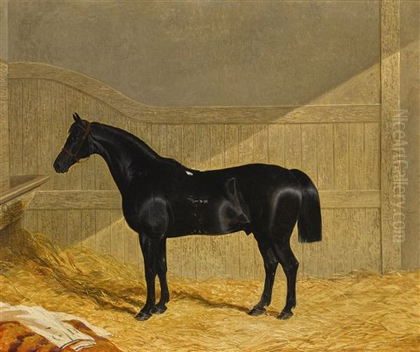 Black Horse In A Stable Oil Painting by John Frederick Herring the Elder