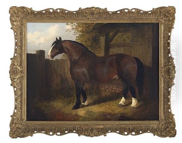 Belgian Draft Horse Oil Painting by John Frederick Herring the Younger