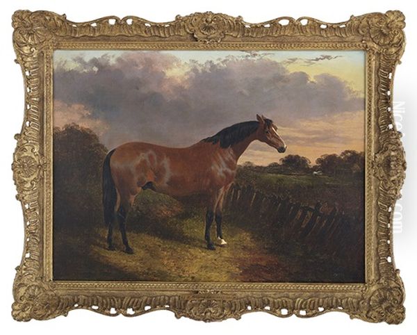 Bay Stallion Oil Painting by John Frederick Herring the Younger