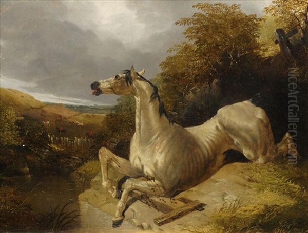 Study Of An Old Racehorse By A Pond Oil Painting by John Frederick Herring the Younger