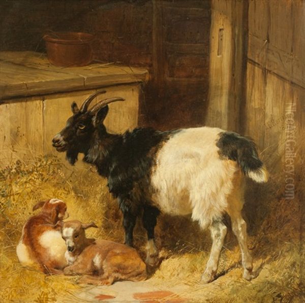 Goats In A Barn Oil Painting by James Herring