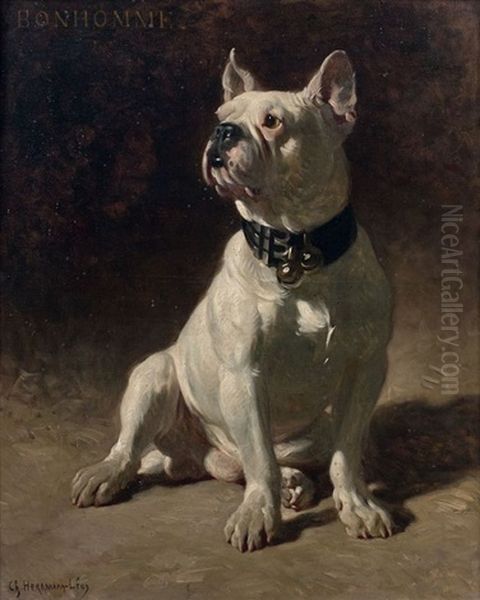 Portrait Du Bouledogue Bonhomme Oil Painting by Charles Herrmann-Leon