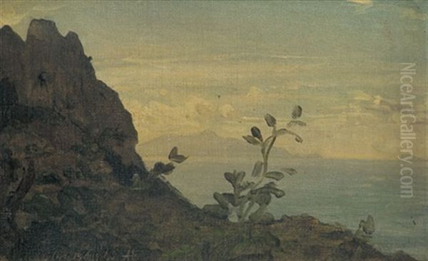 Motiv Auf Capri Oil Painting by Albert Hertel