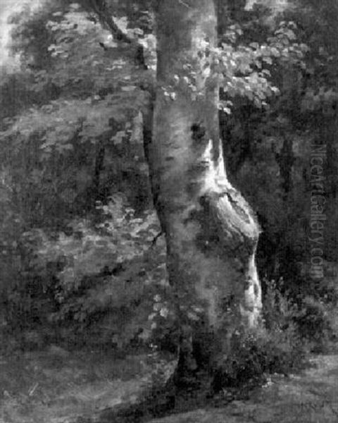 Grosser Baum Am Waldrand Oil Painting by Louis Adolphe Hervier