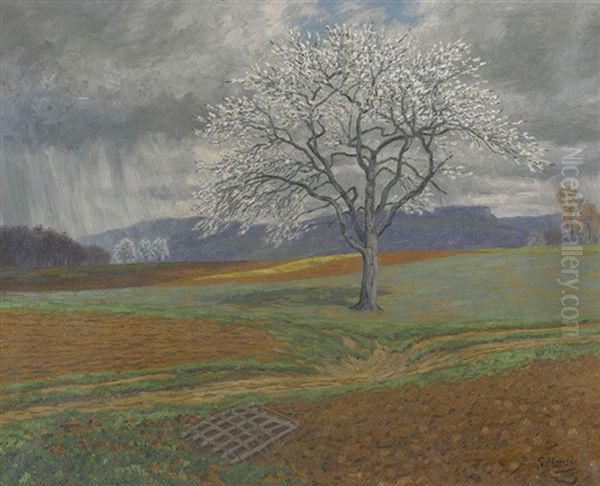 Bluhender Obstbaum Oil Painting by Gottfried Herzig