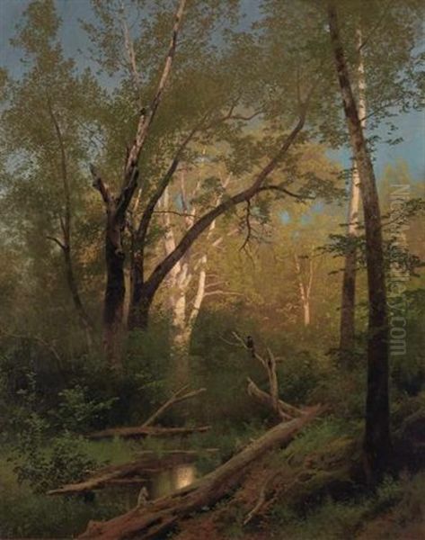 Wooded Landscape With Pool Oil Painting by Hermann Herzog