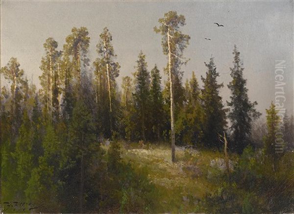 Group Of Pine Trees Oil Painting by Hermann Herzog