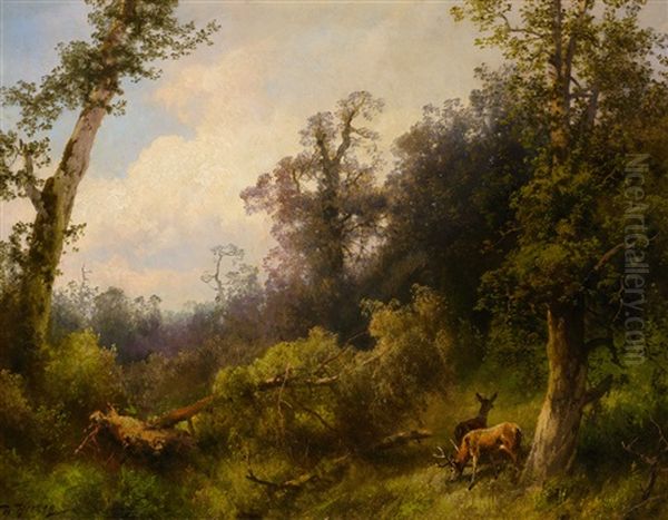 Deer In The Forest Oil Painting by Hermann Herzog