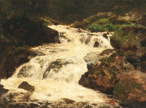 Cascading Falls Oil Painting by Hermann Herzog