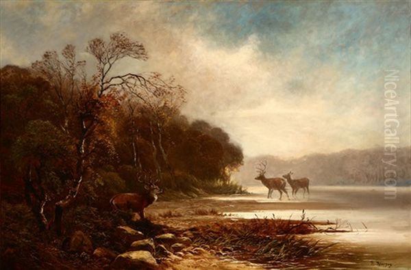 Stags Watering Near Water's Edge Oil Painting by Hermann Herzog