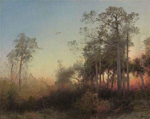 Sunset With Deer, Florida Oil Painting by Hermann Herzog