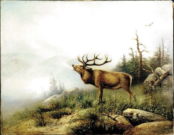 Elk In Landscape Oil Painting by Hermann Herzog