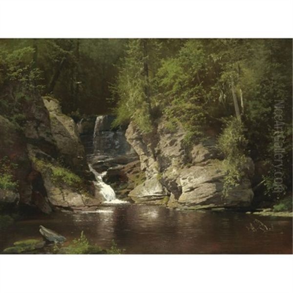 Woodland Pool Oil Painting by Hermann Herzog