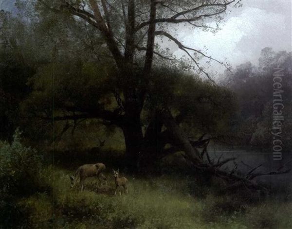 Deer Family Oil Painting by Hermann Herzog