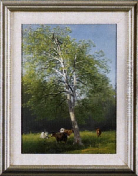 Pastoral Landscape With Cows Grazing Beneath A Birch Tree Oil Painting by Hermann Herzog