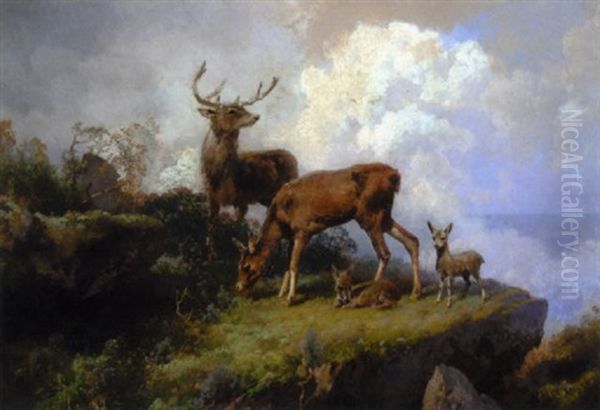 Deer On A Mountain Ledge by Hermann Herzog