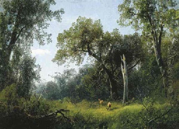 Deer In A Meadow Oil Painting by Hermann Herzog