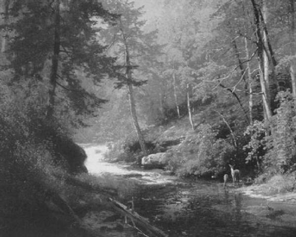 Deer Beside A Woodland Stream Oil Painting by Hermann Herzog